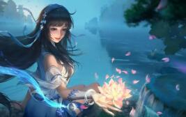 创造和魔法蜂蜜的神秘之旅 创造与魔法,蜂蜜